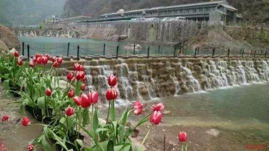 【实习实训】山西卫生健康职业学院38名学生在永济市各医院实习实训